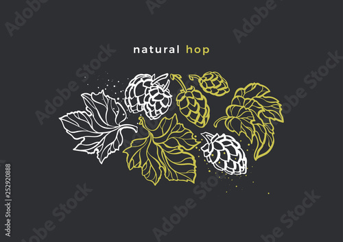 Vector design. Natural hop. Art line symbol