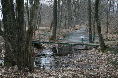 old wooden bridge in the forest