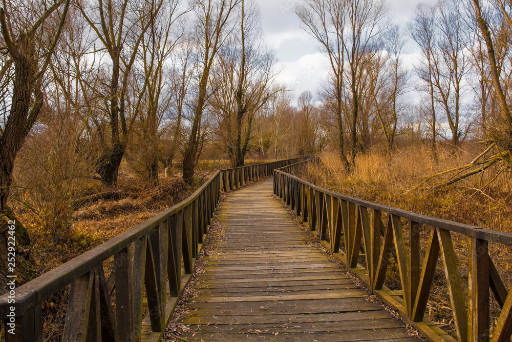 A wooden walkway in the Kopacki Rit Nature Reserve in winter in north east Croatia. Located by the Serbian border, close to the confluence of the Drava and Danube rivers, it is one of the largest and 