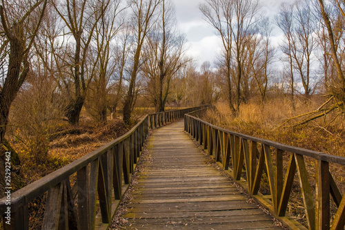 A wooden walkway in the Kopacki Rit Nature Reserve in winter in north east Croatia. Located by the Serbian border, close to the confluence of the Drava and Danube rivers, it is one of the largest and 