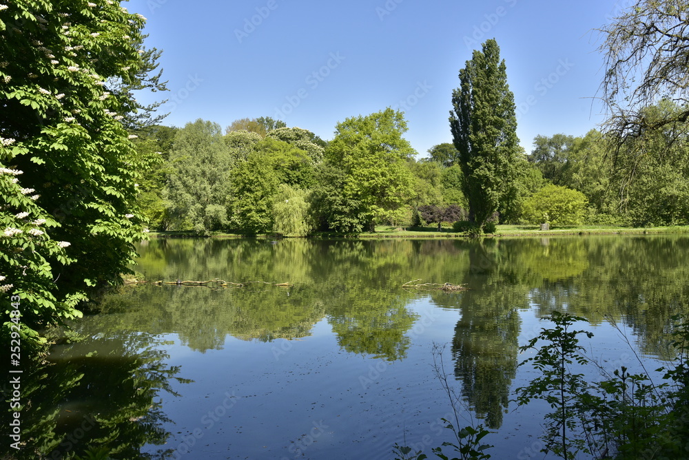 Bois luxuriant avec tilleuls se reflétant dans l'étang principal du domaine provincial de Rivierenhof à Anvers