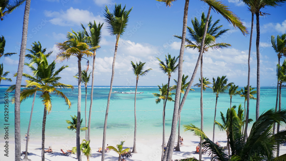 wonderful caribbean tropical exotic beach in Punta Cana, Dominican Republic