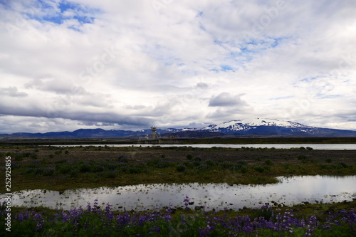 Icelandic landscape - lupin flowers  a lake and a glacier in the distance