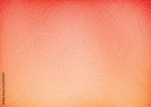 Gradient background with topographic lines, beautiful wallpaper in peach and orange, elegant waves pattern, vector illustration