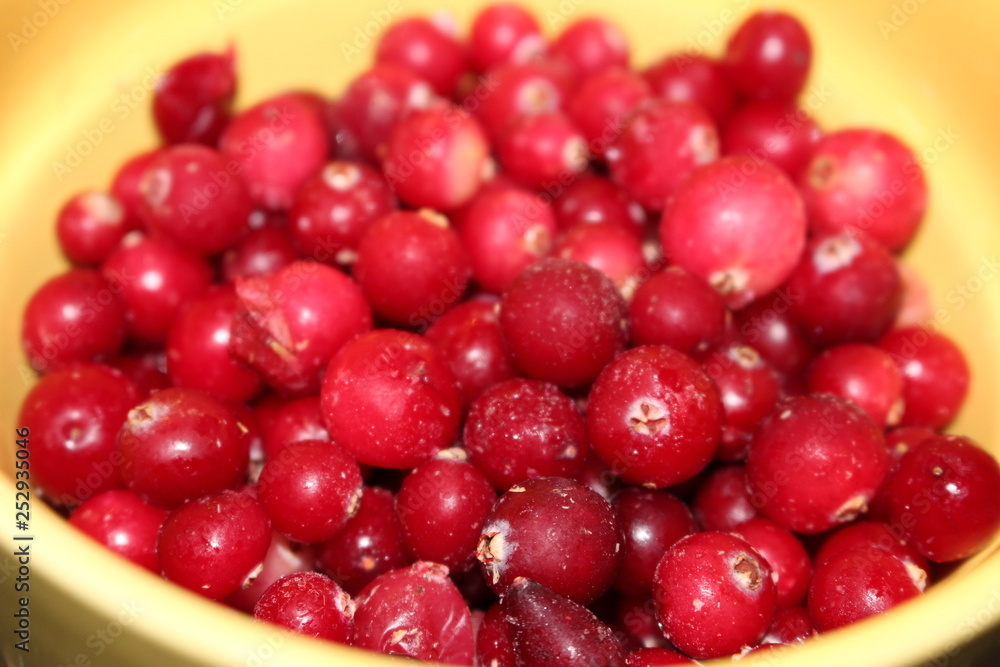 berry berry