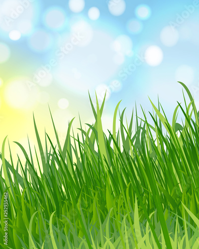 summer or spring background with green grass, blue sky, sunlight and highlights