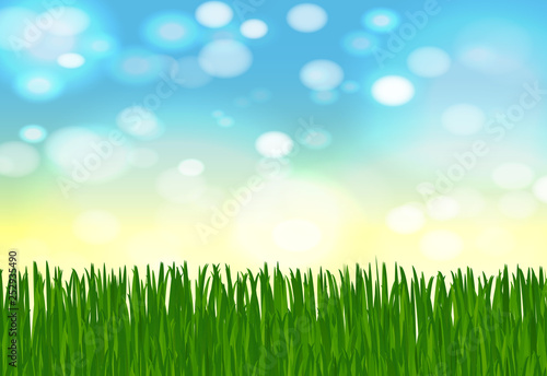 summer or spring background with green grass, blue sky, sunlight and highlights