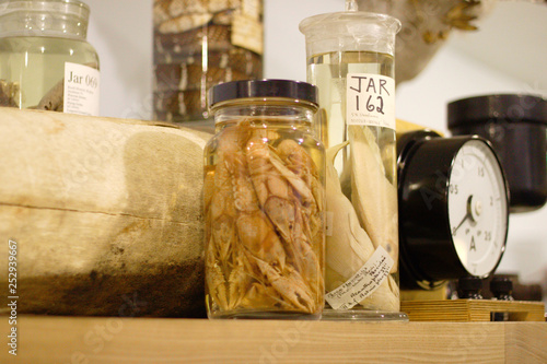 Принти на полотні Collection of antique scientific objects.