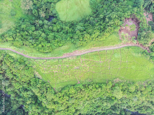 Aerial view of artist's trail of Ubud, Bali.