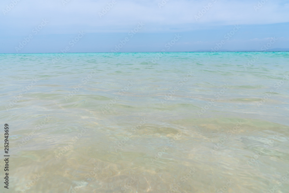 ニシ浜 ニシ浜