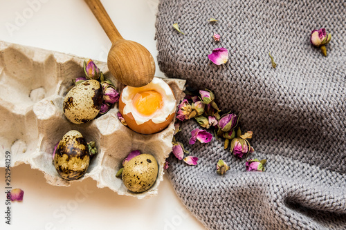 Egg boiled raw chicken egg quail egg tray wooden spoon breakfast white