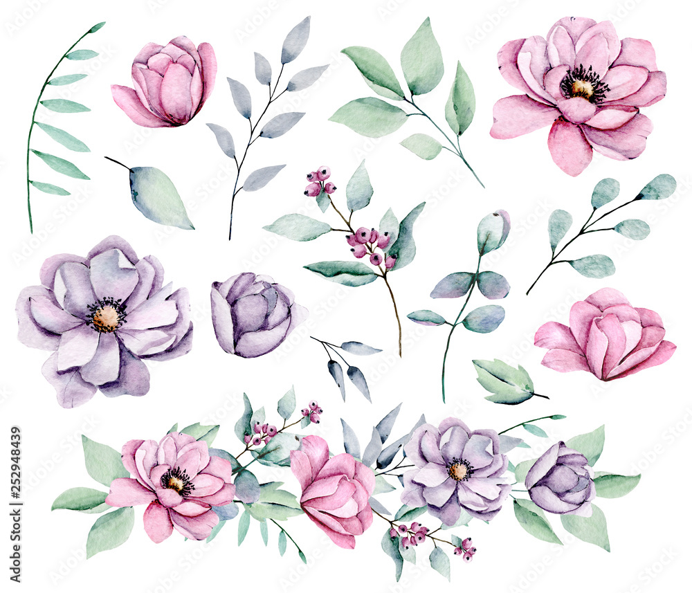 Peonies, watercolor pink and violet flowers set. Floral summer vintage illustration isolated on white background. Hand drawing. Perfectly for wedding, birthday, party, other greetings design.