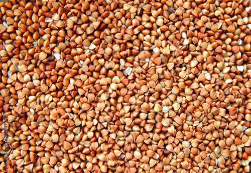 Raw buckwheat grains on wooden table