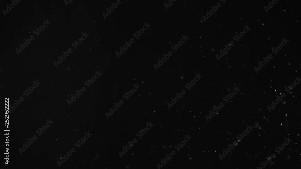 Natural Organic Dust Particles Floating On Black Background. Dynamic Dust Particles Randomly Float In Space With Fast And Slow Motion. Shimmering Glittering White Particles With Bokeh In The Air. Natural Organic Dust Particles Floating On Black Background. Dynamic Dust Particles Randomly Float In Space With Fast And Slow Motion. Shimmering Glittering White Particles With Bokeh In The Air.