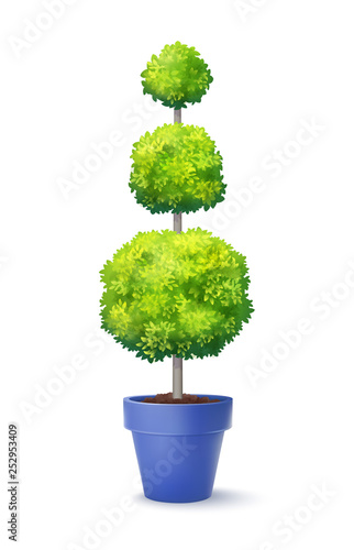 Green Ornamental Tree