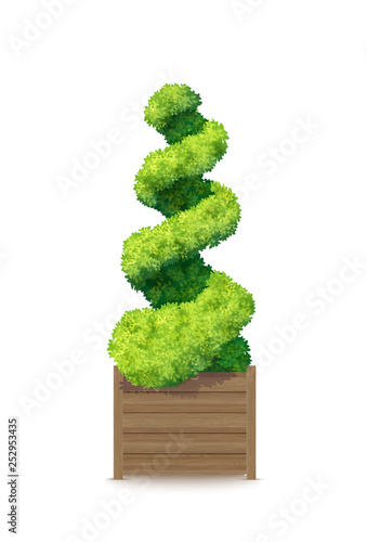 Green Ornamental Bush