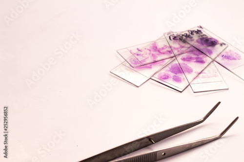 Photography Small glasses with pieces of histological biopsies on white background
