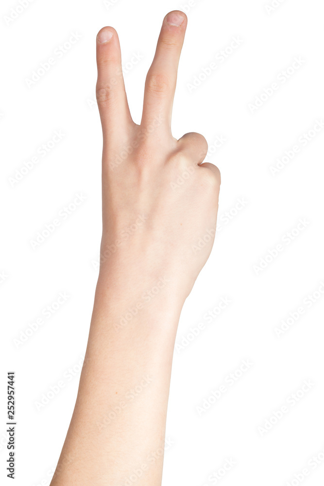 British Sign Language British Sign Language