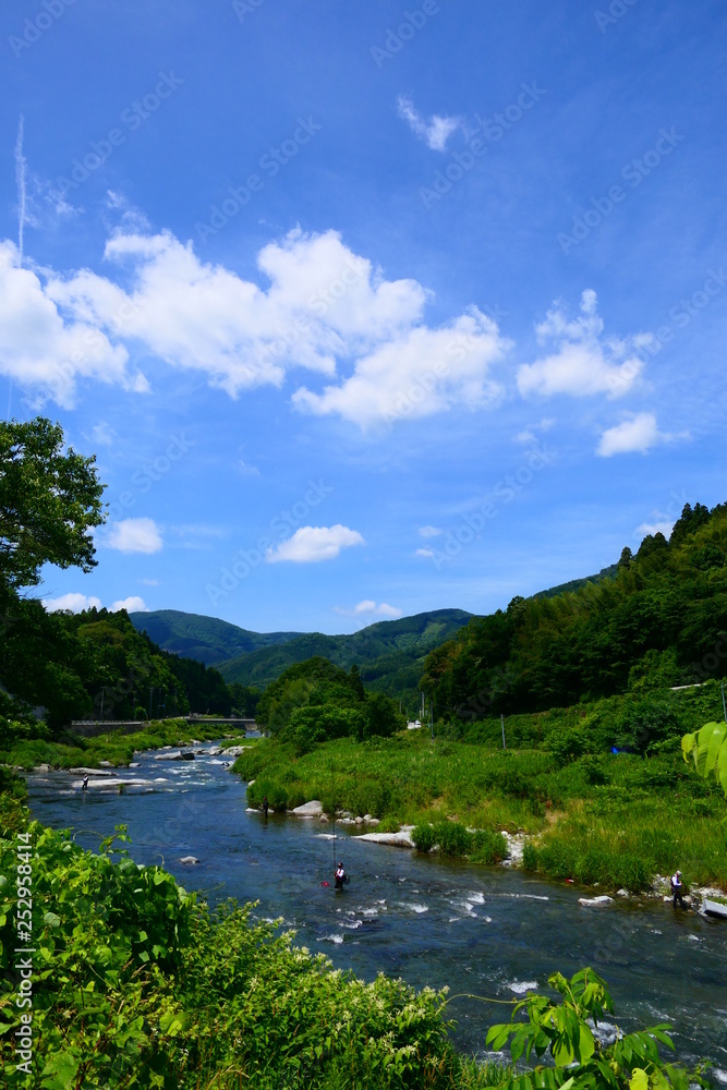 日本の夏の風物詩、アユの友釣りで賑わう気仙川。陸前高田　岩手　日本。７月上旬。