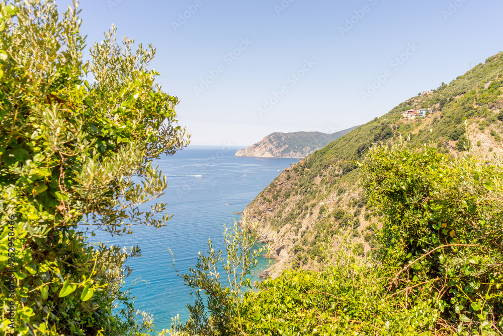 Italy, Cinque Terre, Corniglia, a body of water surrounded by trees