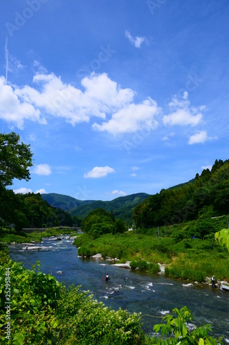 日本の夏の風物詩、アユの友釣りで賑わう気仙川。陸前高田 岩手 日本。７月上旬。