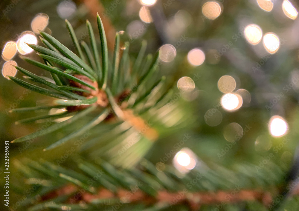 Ramas de pino de un árbol de navidad con luces desenfocadas. Ramas de pino de un árbol de navidad con luces desenfocadas.