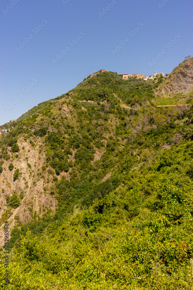 Italy, Cinque Terre, Corniglia, a tree with a mountain in the background