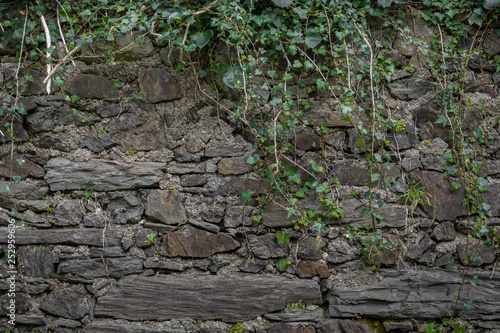 Muro de piedra centenario con vegetación cubriendo su parte superior