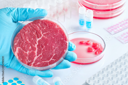 Meat sample in open  disposable plastic cell culture dish in modern laboratory or production facility photo