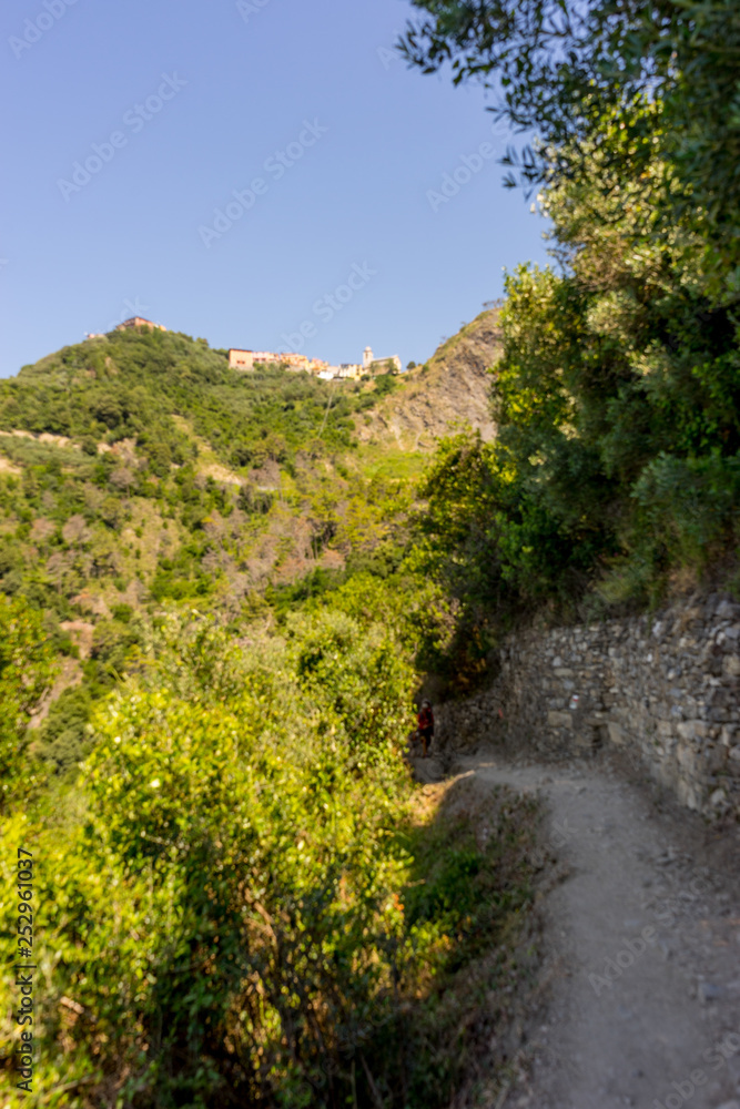 Italy, Cinque Terre, Corniglia, a path with trees on the side of a dirt road