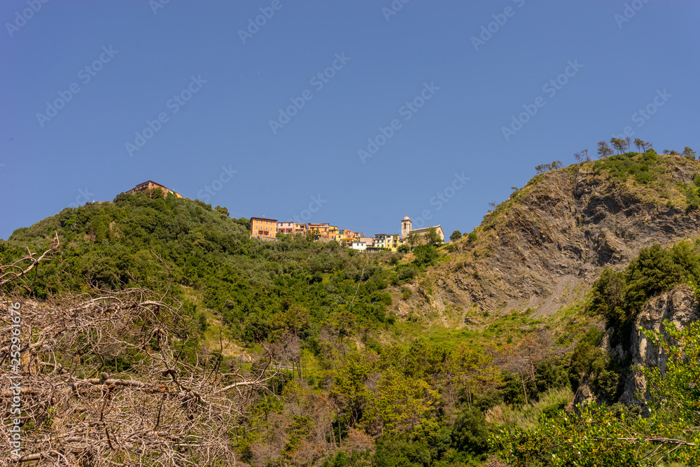 Italy, Cinque Terre, Corniglia, a close up of a hillside Italy, Cinque Terre, Corniglia, a close up of a hillside