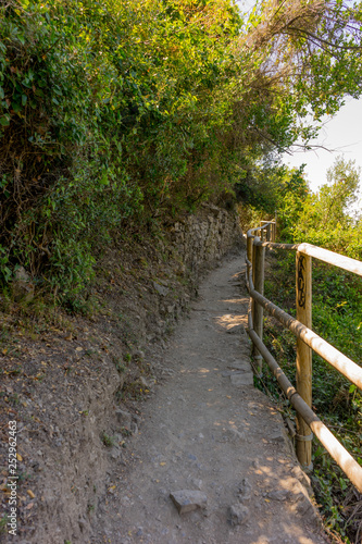 Fototapeta Naklejka Na Ścianę i Meble -  Italy, Cinque Terre, Corniglia, a path with trees on the side of a fence