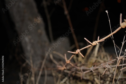 barbed wire