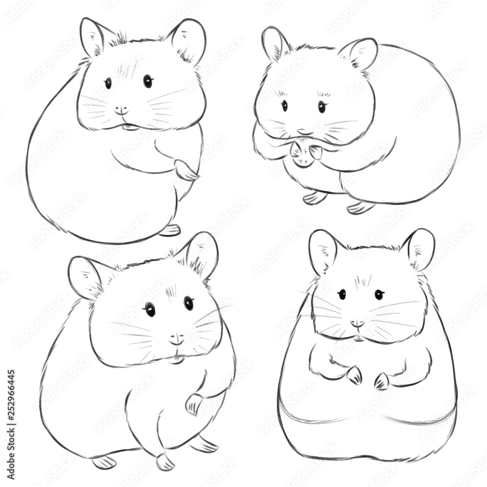 Drawn by hand sketches of cute cartoon hamsters on white background.  Illustration of little animals drawn like pencil sketches. Good for  illustration in kids books. Stock Illustration | Adobe Stock