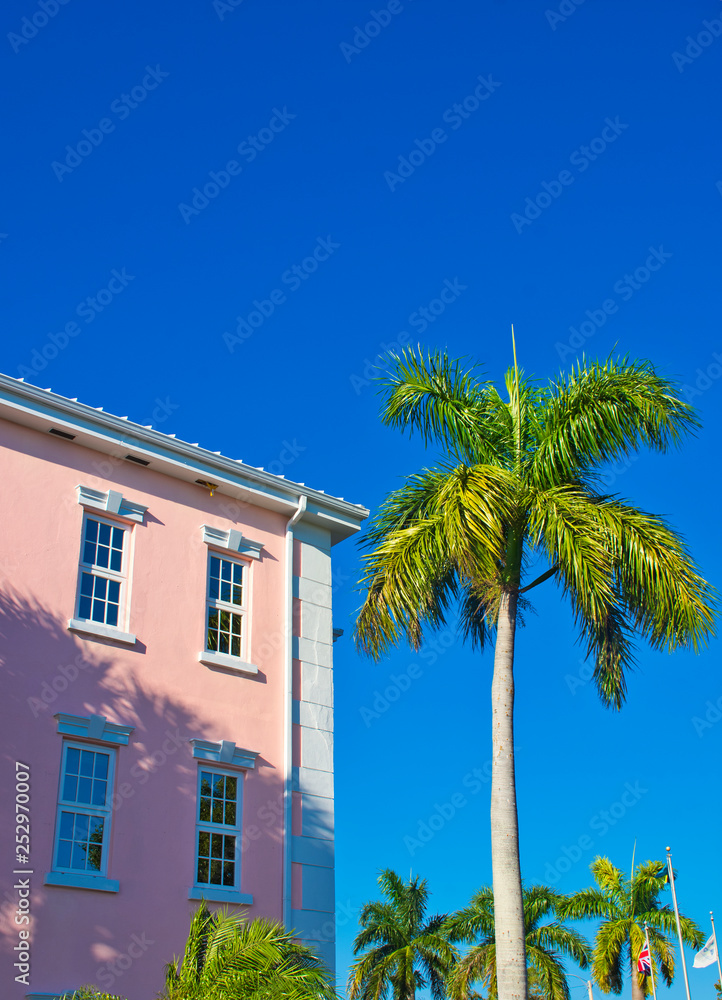 Tropical Home - Palm Trees and Blue Skies.