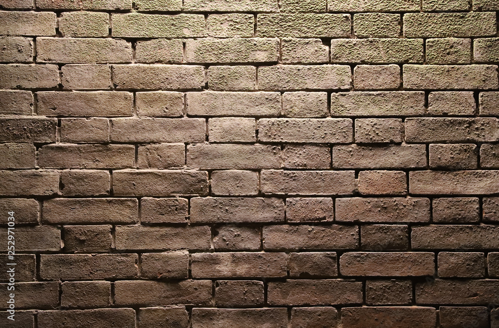 Obraz premium 【横須賀 観光名所】無人島・猿島のフランス積みレンガ