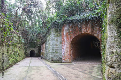 【横須賀 観光名所】無人島・猿島の愛のトンネル