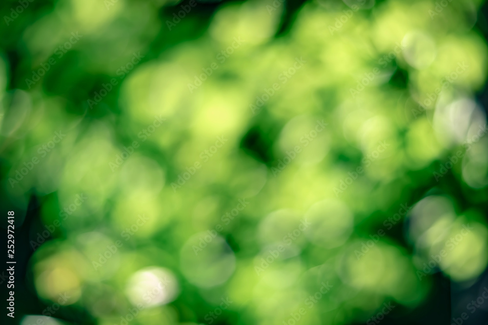 Soft focus. Bokeh green background. Beautiful blooming trees defocus blur in spring park. Wallpaper With Copy Space. Blooming garden closeup