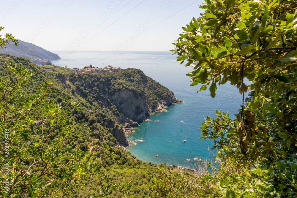 Fototapeta premium Italy, Cinque Terre, Corniglia, SCENIC VIEW OF SEA AND TREES AGAINST SKY
