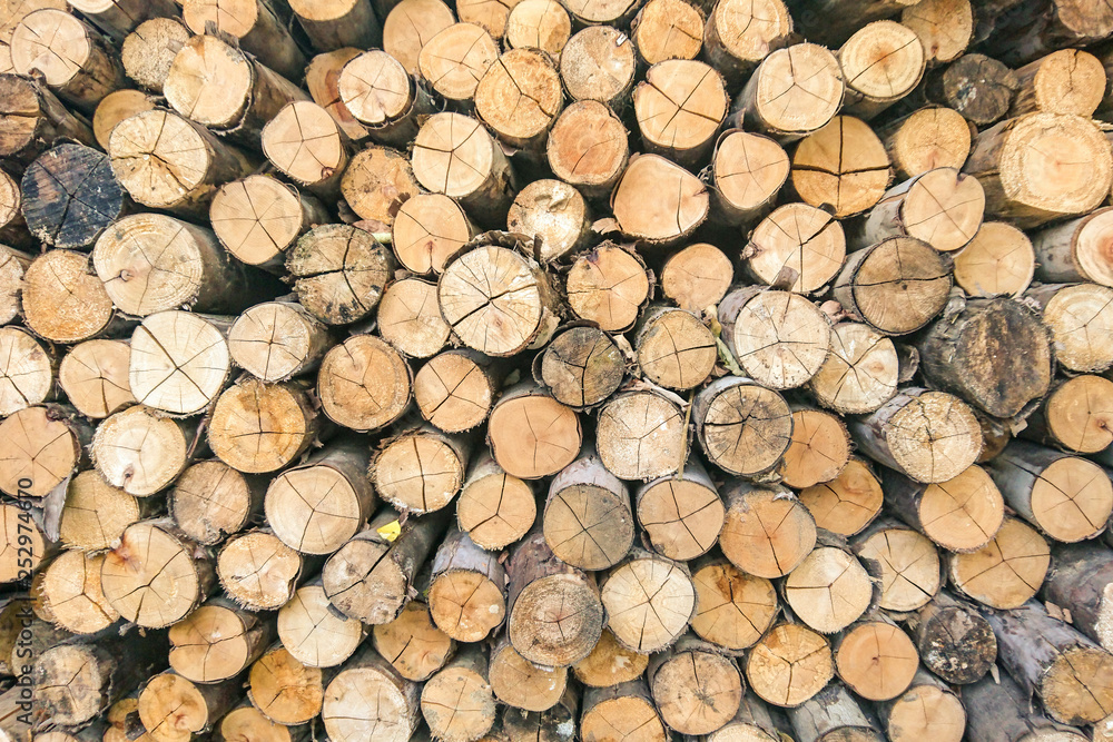 Dry firewood in a pile