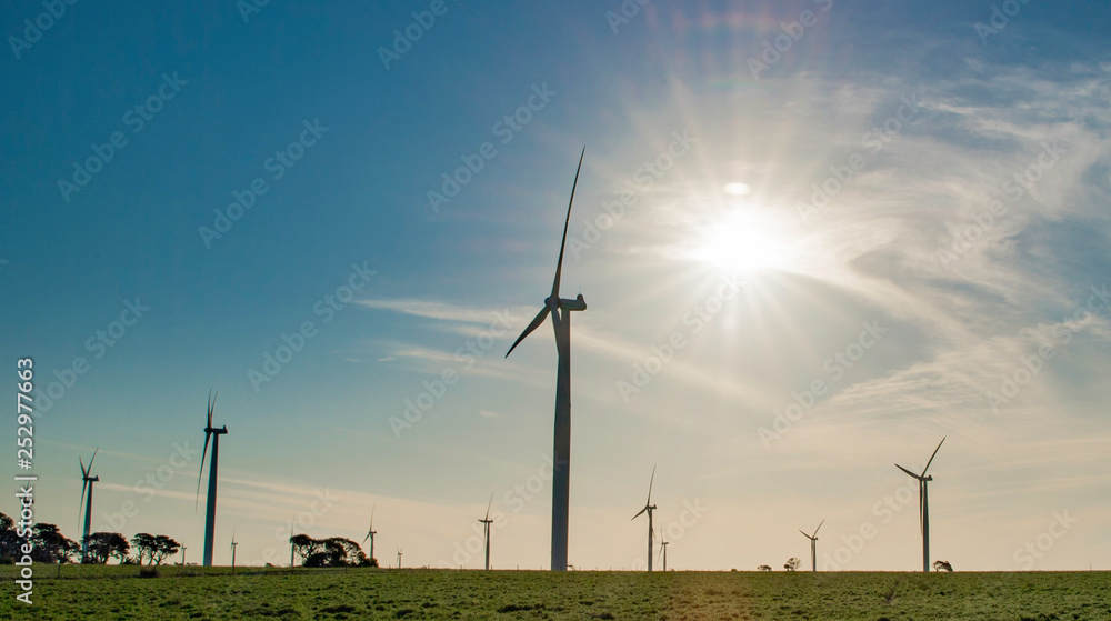 Obraz premium Windmills