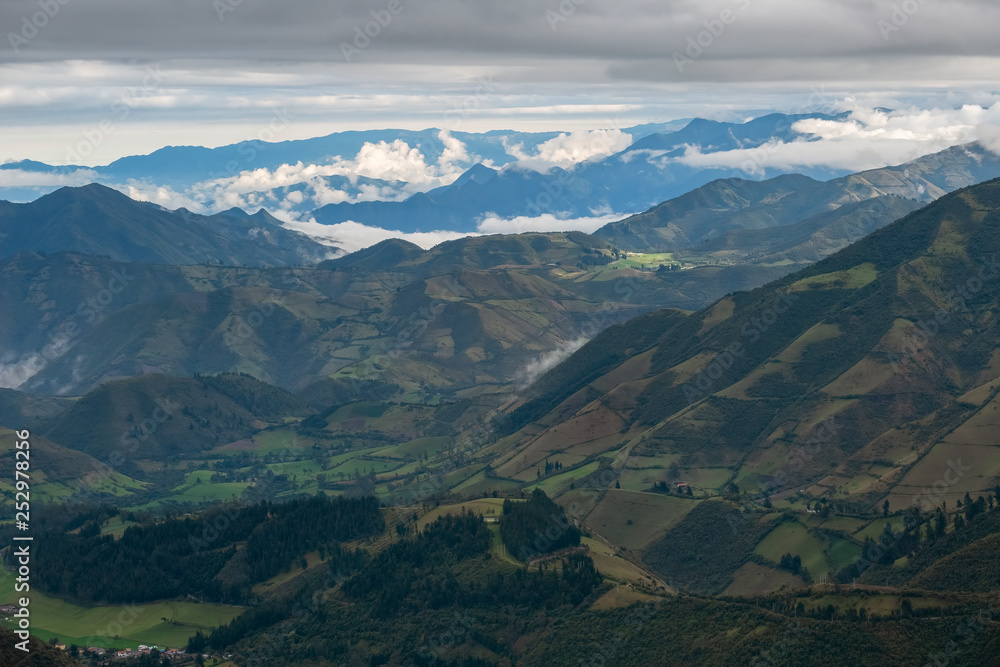 Naklejka premium Cloud Forest in the Maquipucuna Biological Reserve, Ecuador