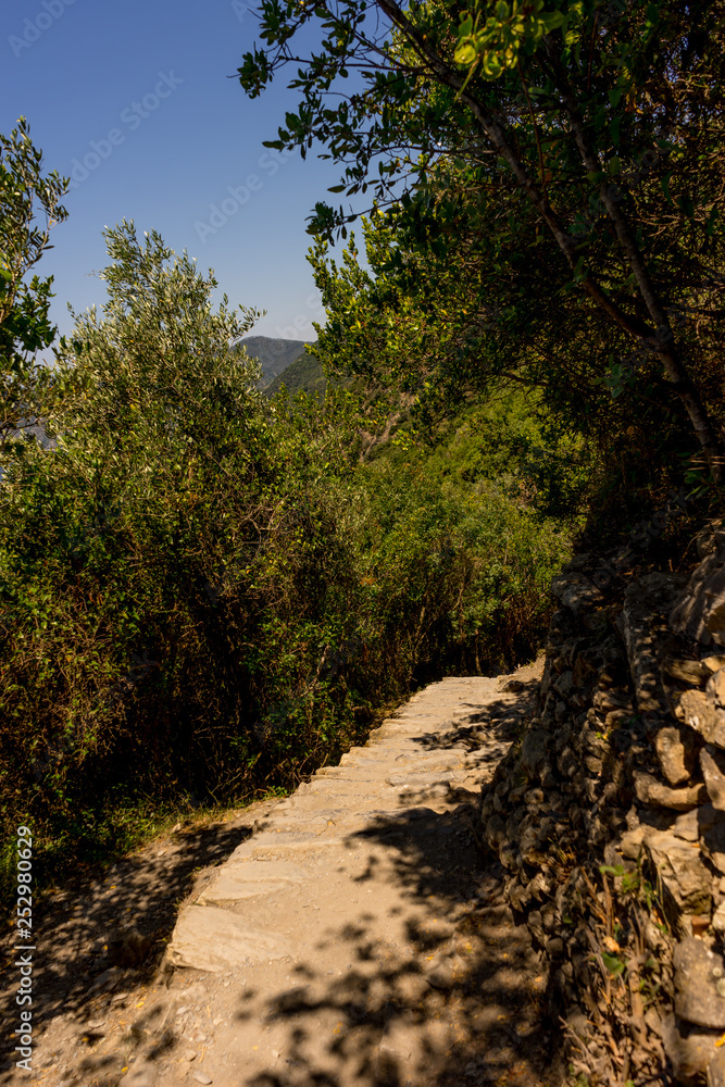 Fototapeta premium Italy, Cinque Terre, Corniglia, a dirt path next to a tree