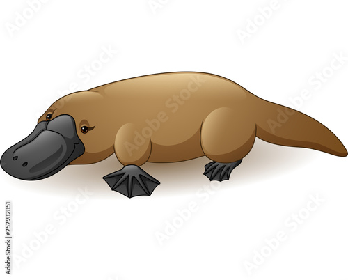 Illustration of platypus isolated on white background