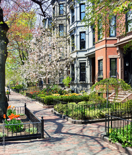 Konstfotografi Back Bay Boston in Early Spring