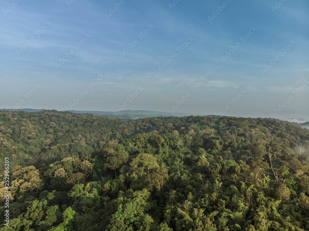 Obraz premium Landscape of Morning Mist with Mountain Layer at north of Thailand