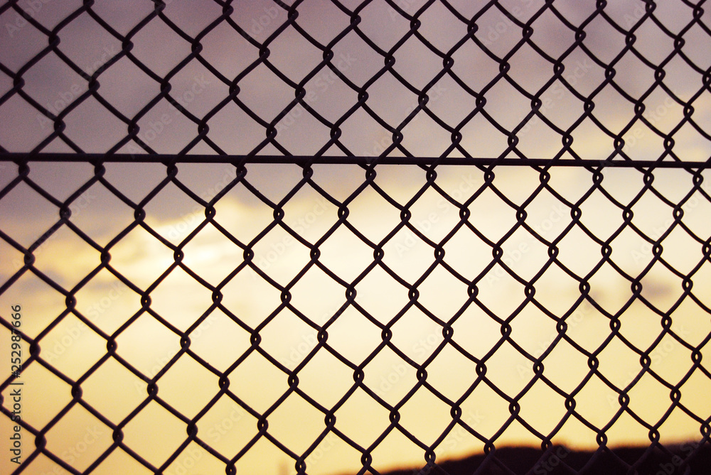 Fototapeta premium 境界線