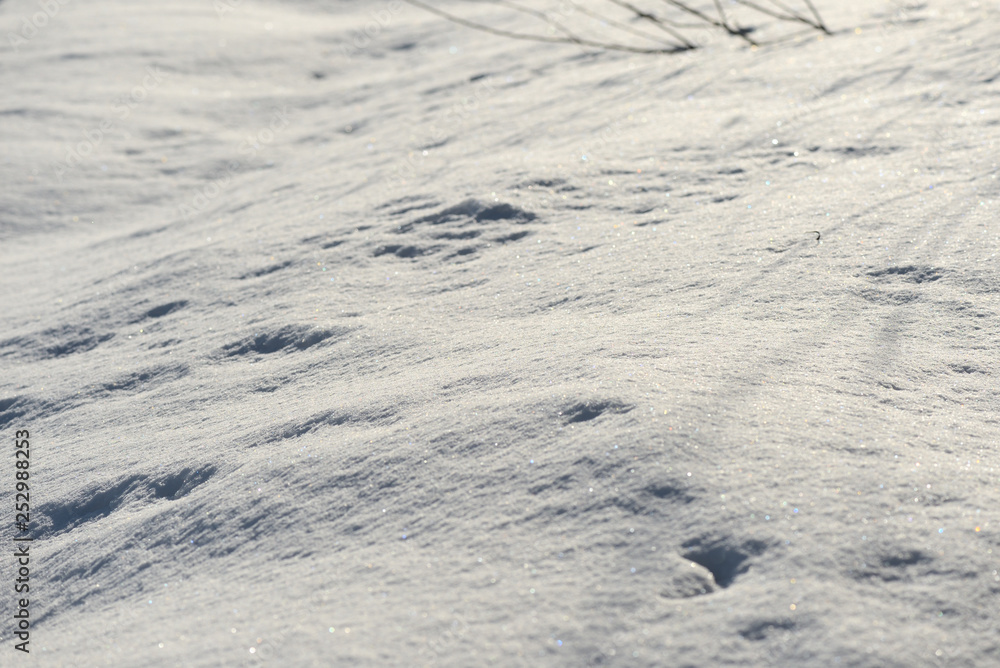 White snow texture on a sunny day. Winter background White snow texture on a sunny day. Winter background