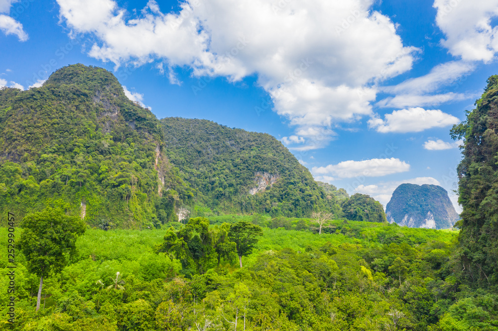 Tha Pom Klong Song Nam amazing nature in Krabi.Tha Pom Swamp Forest is a forest with.many beautiful water sources. clear and clean emerald water blowdown pass the beautiful root of mangrove tree