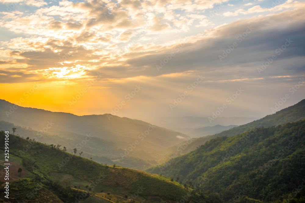 Fototapeta premium Słońce i barwy natury 32